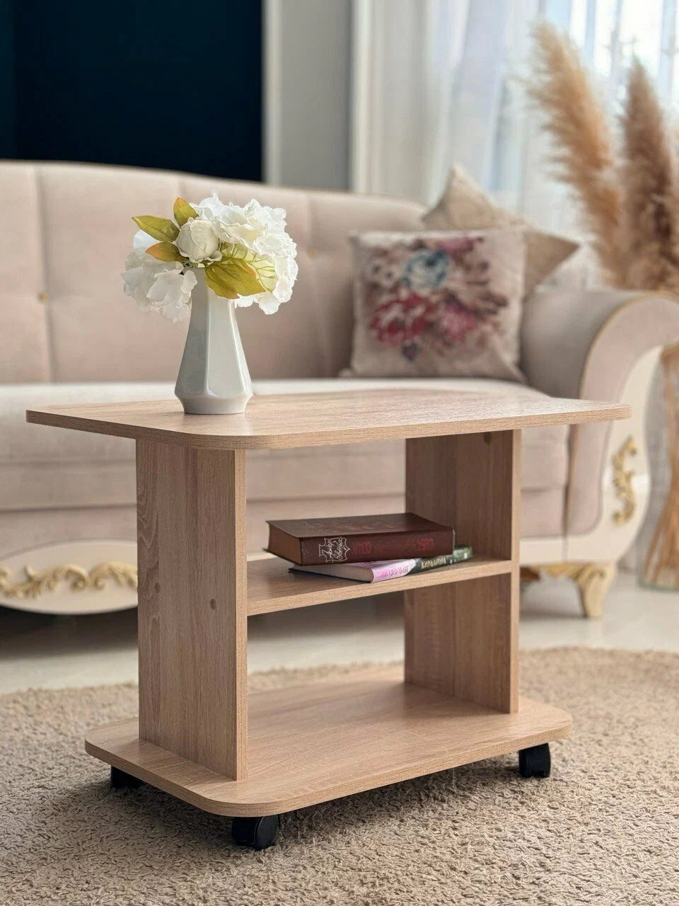 Table Basse Moderne avec Rangement
