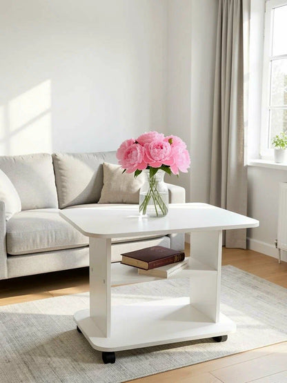Table Basse Moderne avec Rangement