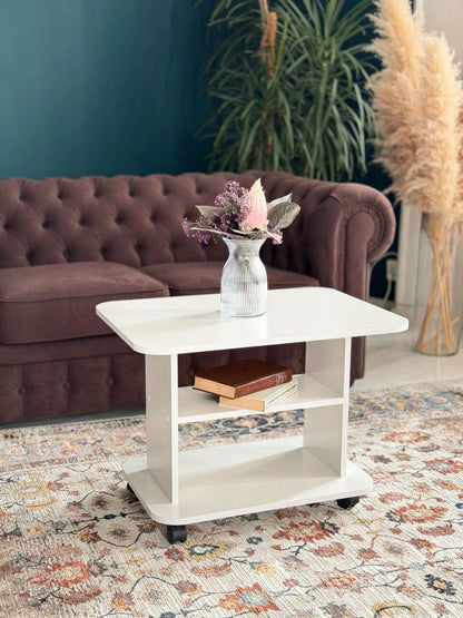 Table Basse Moderne avec Rangement
