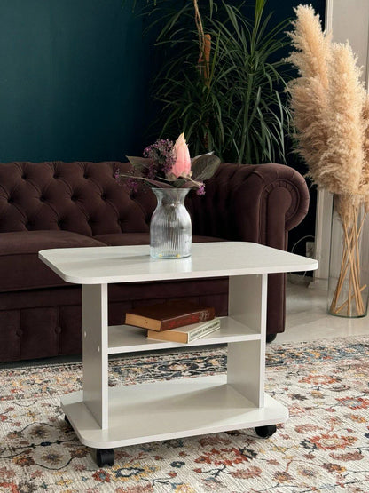 Table Basse Moderne avec Rangement